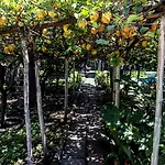 Bed and breakfast Rectina 3*