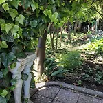Rectina Bed and breakfast Pompeya