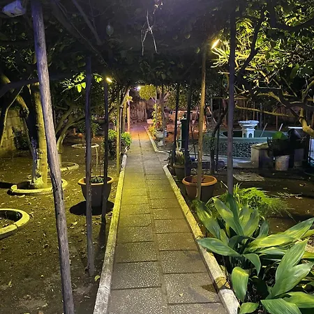 Bed and Breakfast Rectina