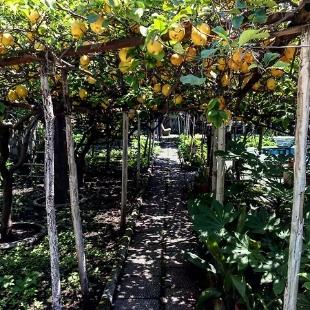 Bed and Breakfast Rectina 4*