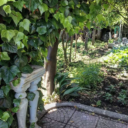 Rectina Alojamento de Acomodação e Pequeno-almoço Pompeia