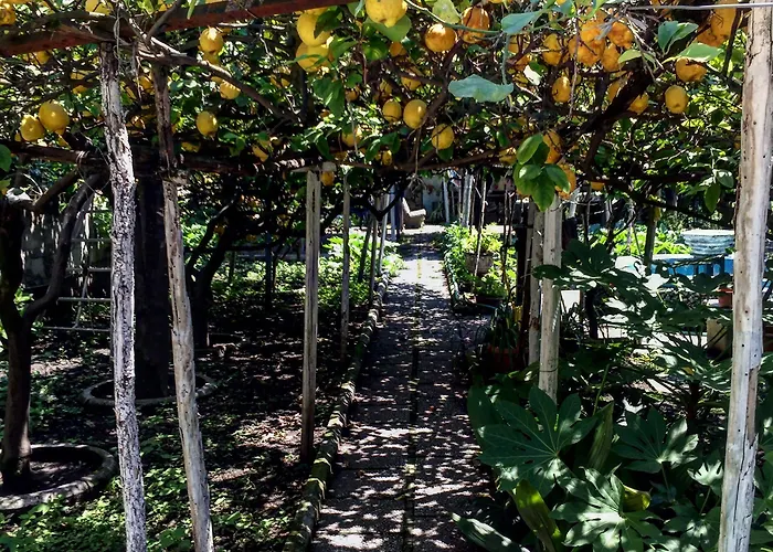 Bed & Breakfast Rectina 3*