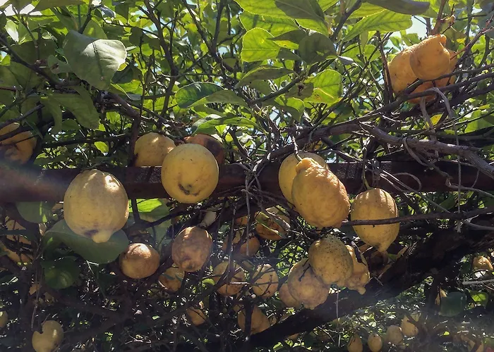 Bed & Breakfast Rectina Pompeji